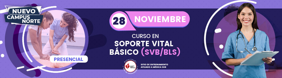 Curso en Soporte Vital Básico SVB BLS